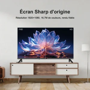 hkc 42q1l 42 pouces tv intelligent fhd vidaa dvb t2 s2 c complet Écran sharp hdr10 dolby audio port hdmi av jack 3,5mm