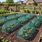 Tente de Protection pour Plantes - Filet Anti-Oiseaux 12 Pièces