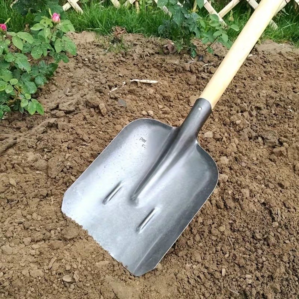 truelle robuste en acier métallique pelle à ciment en acier plein Épaissi, pelle à charbon en acier au manganèse, bêche à tête carrée, pelle à neige à manche en bois, pelle agricole en fer, outil de plantation d'arbres truelle robuste en acier métallique pelle à ciment en acier plein Épaissi, pelle à charbon en acier au manganèse, bêche à tête carrée, pelle à neige à manche en bois, pelle agricole en fer, outil de plantation d'arbres